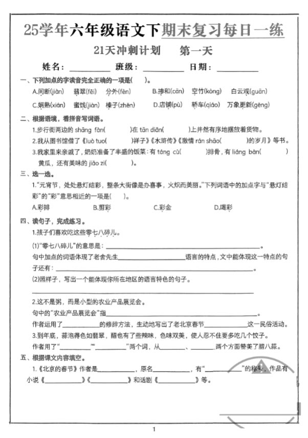 2025春六下语文期末21天冲刺计划.pdf-优学中小学教辅网
